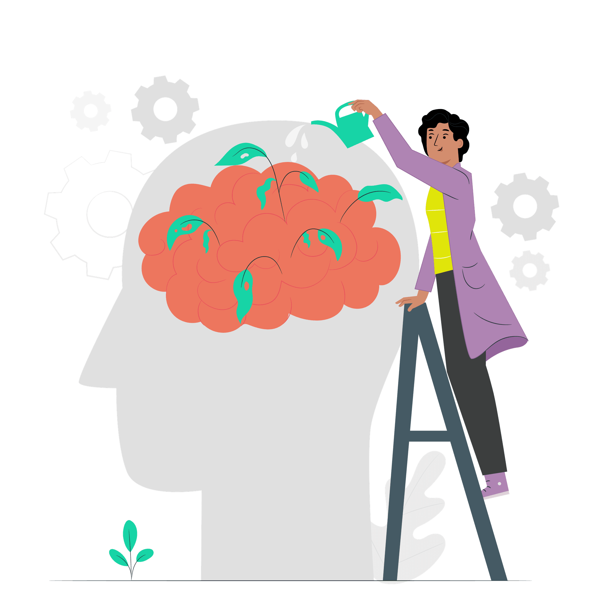 Mental wellness journey